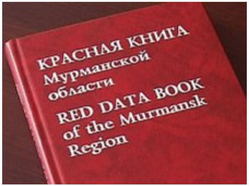 Презентация красная книга мурманской области животные и растения